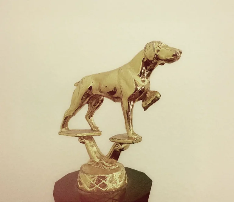 trophy-dog-slider-flipped